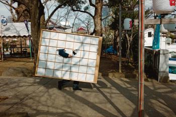 Shin Noguchi, Shibakoen, Tokyo, 2013