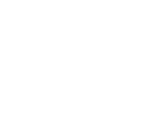 Ecca Family Foundation logo